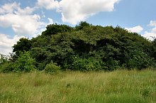 Curganii, Nusfalau , Foto: WR