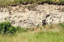 Curganii, Nusfalau , Foto: WR