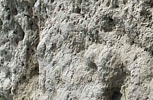 Curganii, Nusfalau , Foto: WR