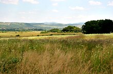 Curganii, Nusfalau , Foto: WR