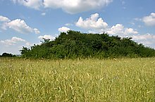 Curganii, Nusfalau , Foto: WR