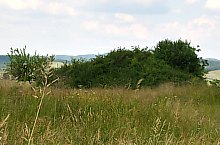 Curganii, Nusfalau , Foto: WR