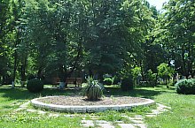 Piata de targuri, Nusfalau , Foto: WR