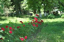 Piata de targuri, Nusfalau , Foto: WR