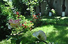 Piata de targuri, Nusfalau , Foto: WR