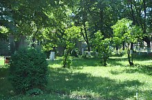 Piata de targuri, Nusfalau , Foto: WR