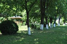 Piata de targuri, Nusfalau , Foto: WR