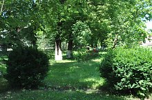 Piata de targuri, Nusfalau , Foto: WR