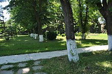 Piata de targuri, Nusfalau , Foto: WR