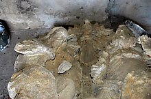 Statuia Sfintei Treimi, Simleu Silvaniei , Foto: WR