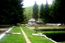 Pastravaria, Tusa , Foto: Margareta Vereș Pop