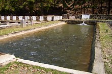 Pastravaria, Tusa , Foto: Pál Gyöngyi