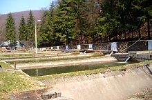 Pastravaria, Tusa , Foto: Pál Gyöngyi