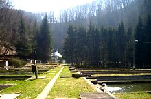 Pastravaria, Tusa , Foto: Pál Gyöngyi