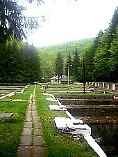 Pastravaria, Tusa , Foto: Margareta Vereș Pop