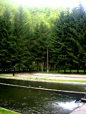 Pastravaria, Tusa , Foto: Margareta Vereș Pop