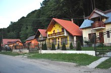 Pădurea Neagră, Foto: WR