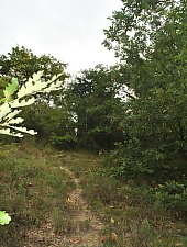 Cripta familiei Jósika, Surduc , Foto: WR