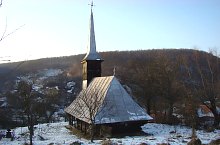 Var, Foto: Țecu Mircea Rareș