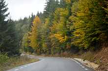 Drumul Belis - Rachitele, Belis , Foto: WR