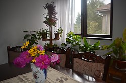 Pensiunea Ungur, Belis , Foto: WR