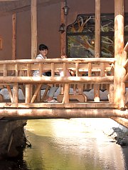 Căsuța din Povești, Horea , Photo: WR