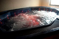Pensiunea Doru - Centru Spa, Belis , Foto: WR