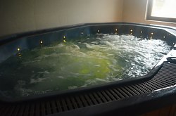 Pensiunea Doru - Centru Spa, Belis , Foto: WR