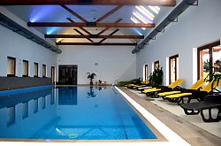 Pensiunea Doru - Centru Spa, Belis , Foto: WR