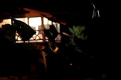 Cabana Perla Lacului, Belis , Foto: WR