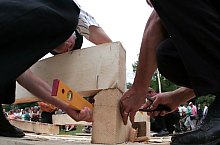 Festivalul Ziua Lemnarului, Matisesti, Matisesti , Foto: Iulia Olar