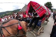 Festivalul Ziua Lemnarului, Matisesti, Matisesti , Foto: Iulia Olar