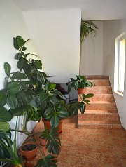 Pensiunea Miesca, Matisesti , Foto: WR