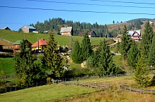 Poiana Horea, Poiana Horea , Foto: WR
