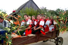 Balul Strugurilor, Sancraiu , Foto: Okos Zsuzsa