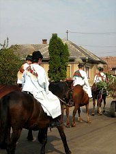 Balul Strugurilor, Sancraiu , Foto: Lovász Judit