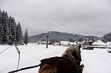 Putna , Foto: Sabrina-Elena Croituru