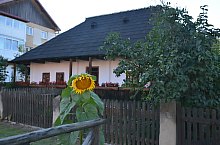 Putna , Foto: Sabrina-Elena Croituru