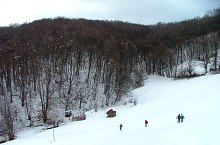 Spre Poarta Bihorului, Foto: Vasile Coancă