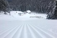 Pârtia Buscat, Foto: Buscat Resort Băișoara