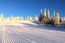 Pârtia Buscat, Foto: Buscat Resort Băișoara