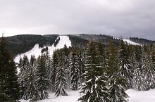 Vartop , Foto: WR