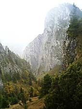 Rezervația Scărișoara-Belioara, Foto: David Călin