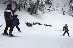 Scoala de schi, Inchirieri schiuri, Vartop , Foto: WR