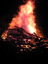 Serbarile zapezii, Vartop , Foto: Simona Breaz