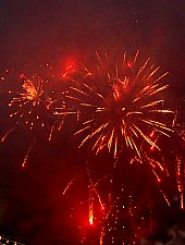 Serbarile zapezii, Vartop , Foto: WR