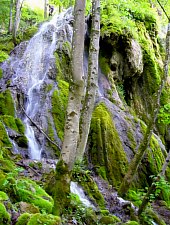 Sipote vízesés, Alsószolcsva , Fotó: Csupor Jenő