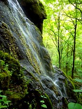 Sipote vízesés, Alsószolcsva , Fotó: Csupor Jenő