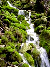 Sipote vízesés, Alsószolcsva , Fotó: Dan Moisa