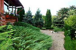 Pensiunea Casa Moteasca - Mini gradina botanica, Cornesti , Foto: WR